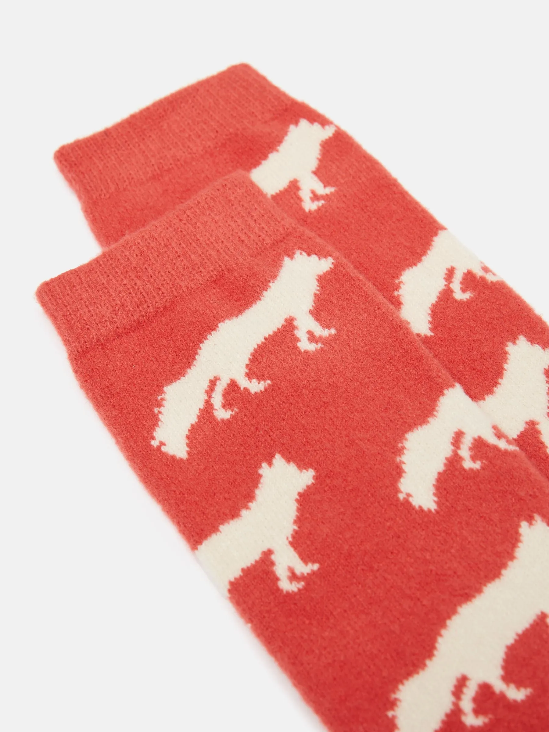 Joules Amble Icon Socks