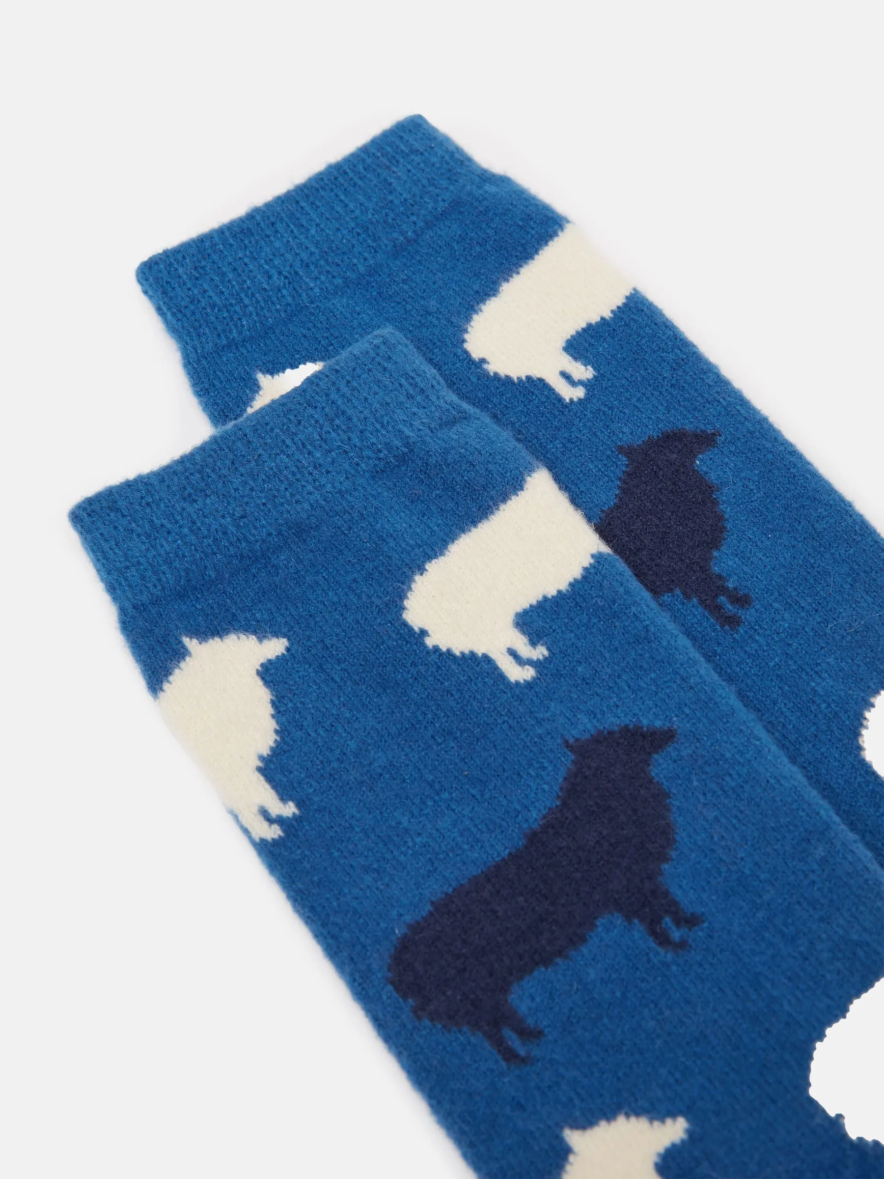 Joules Amble Icon Socks
