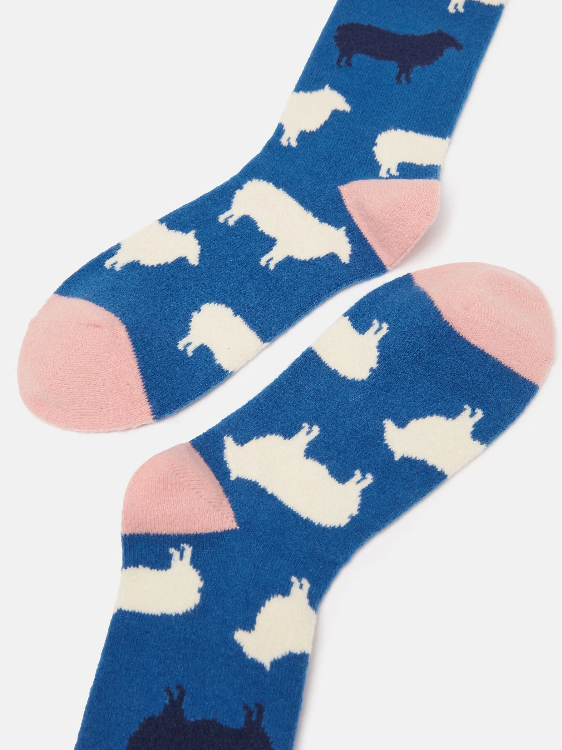 Joules Amble Icon Socks