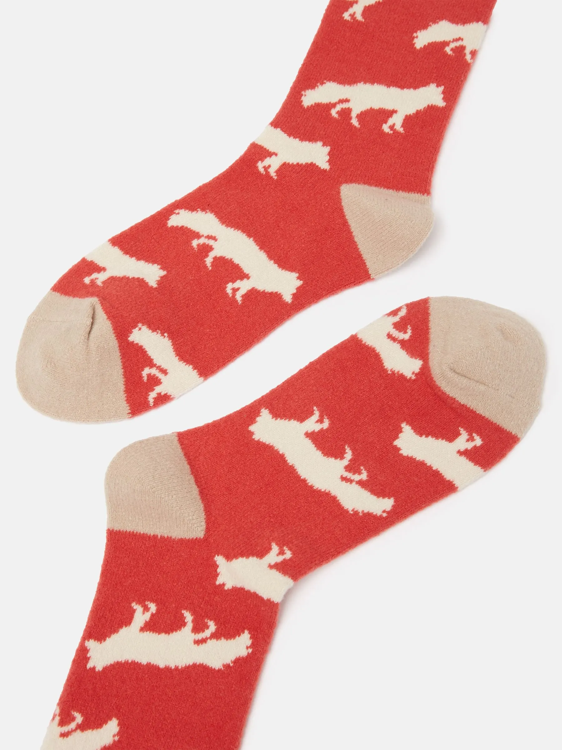 Joules Amble Icon Socks