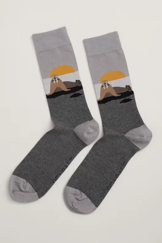 Seasalt Men's Arty Socks