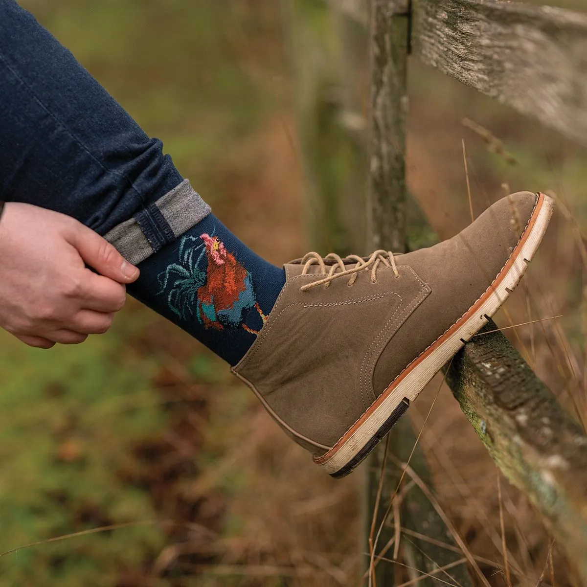 Wrendale Colours of The Rainbow Cockerel Socks