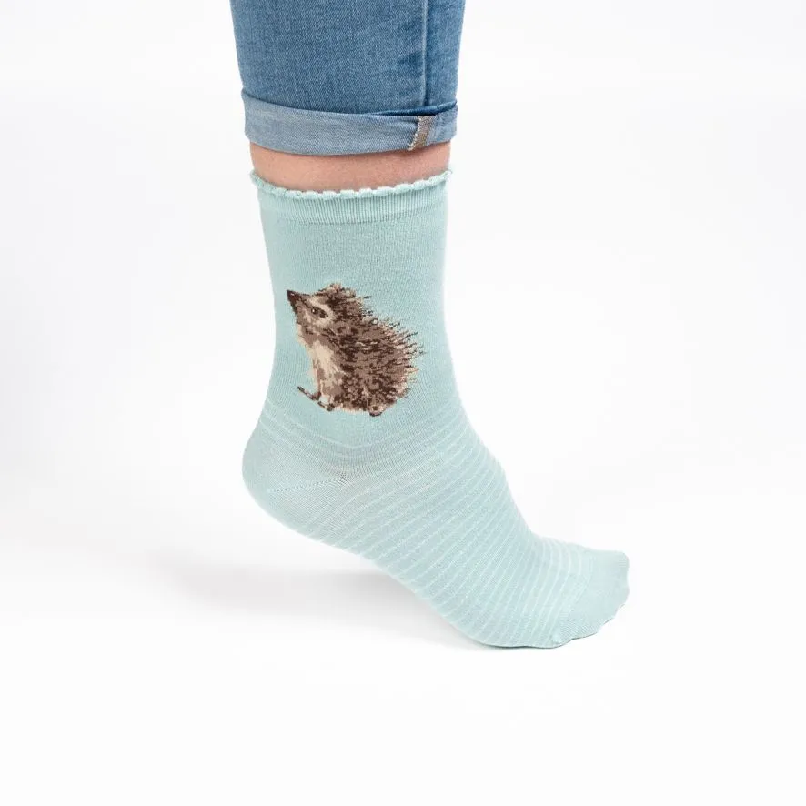 Wrendale Hedgehugs Hedgehog Socks